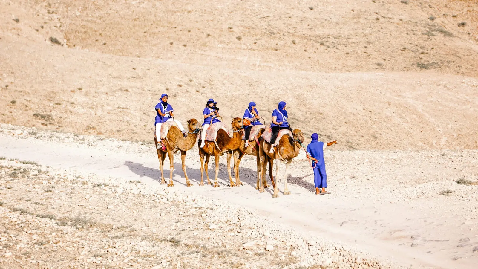 Désert d'Agafay