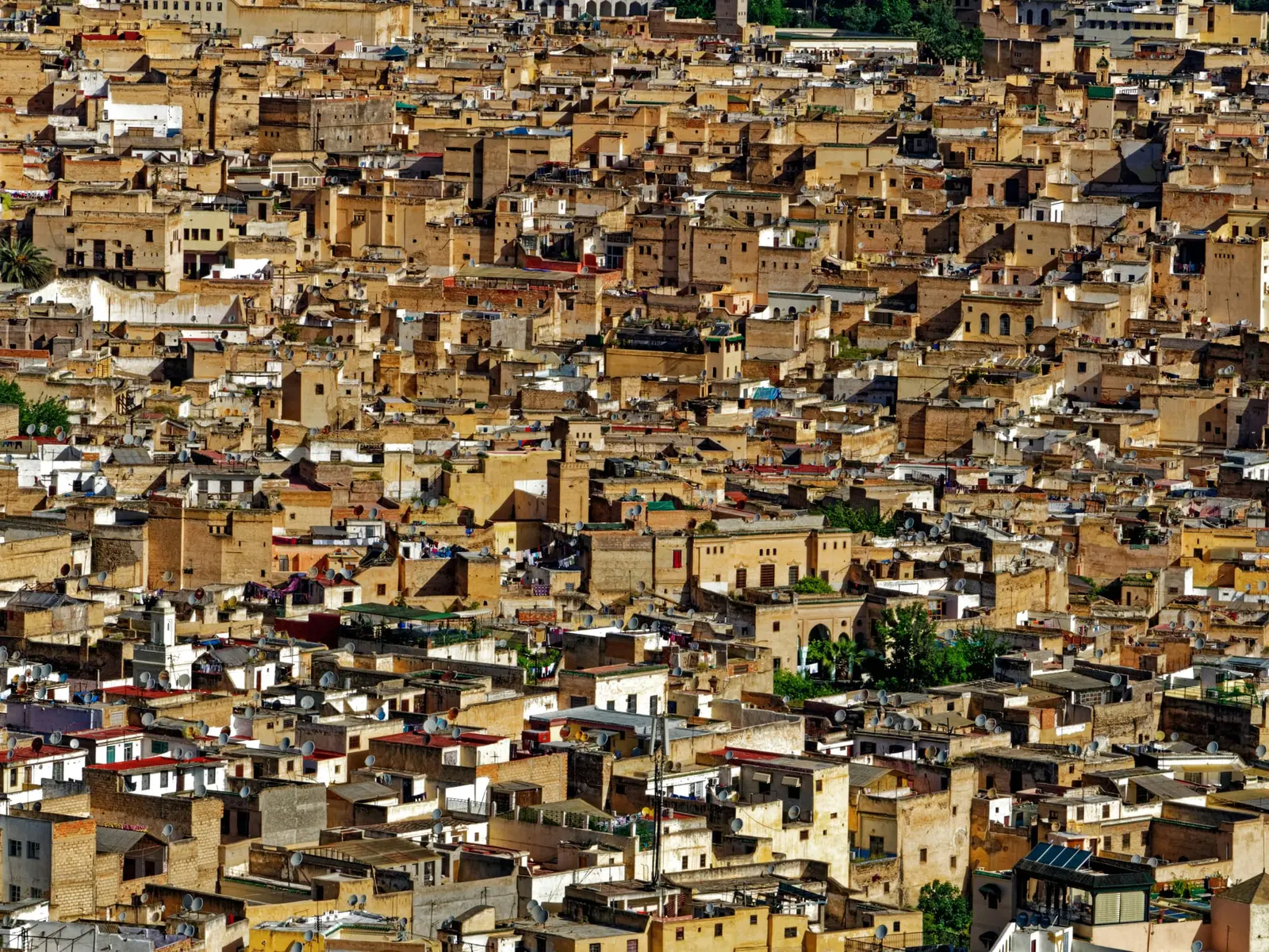 Médina de Fès